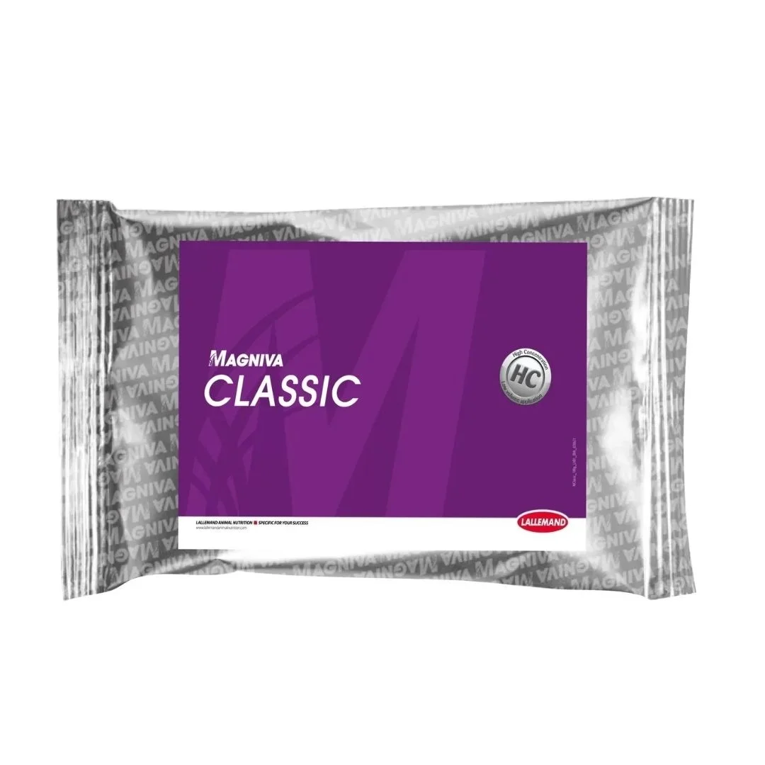 MAGNIVA CLASSIC 100G (CX.10)