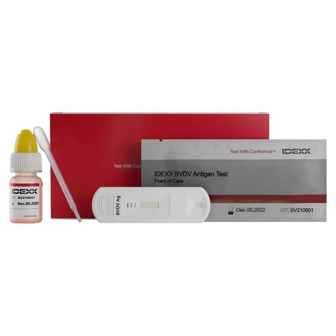 BVDV AG POC 10T
