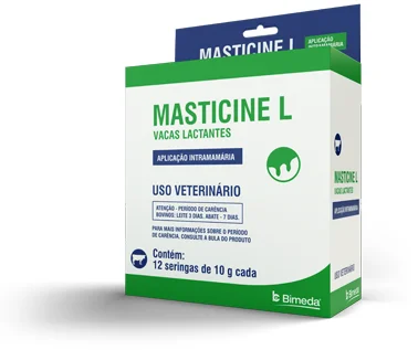 MASTICINE L 10GR