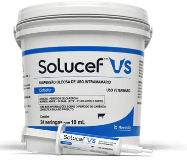 SOLUCEF VS 24 X 10GR