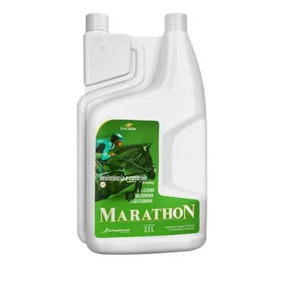 BOTUMIX HIGH PERF. MARATHON 2,1L