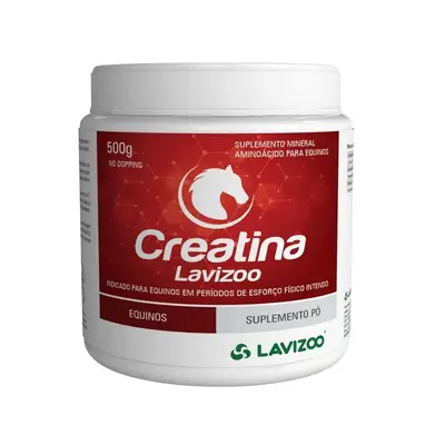 CREATINA 500GR (SUPLEMENTO AMINOÁCIDO)